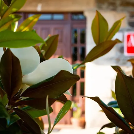With 2 Bedrooms In With Wonderful Mountain View Enclosed Garden And Wifi 2 Km From The Beach Apartment