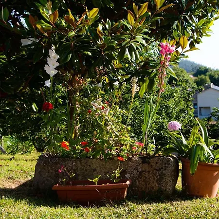 With 2 Bedrooms In With Wonderful Mountain View Enclosed Garden And Wifi 2 Km From The Beach