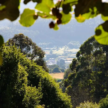 With 2 Bedrooms In With Wonderful Mountain View Enclosed Garden And Wifi 2 Km From The Beach Apartment