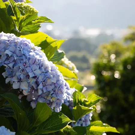With 2 Bedrooms In With Wonderful Mountain View Enclosed Garden And Wifi 2 Km From The Beach Apartment